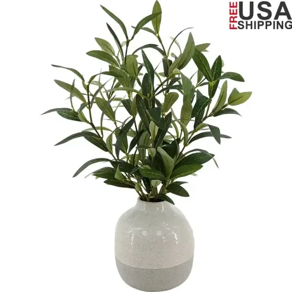 14in Artificial Olive Plant in Two-Tone Ceramic Vase